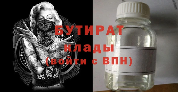 МДПВ Бородино