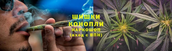 МДПВ Бородино