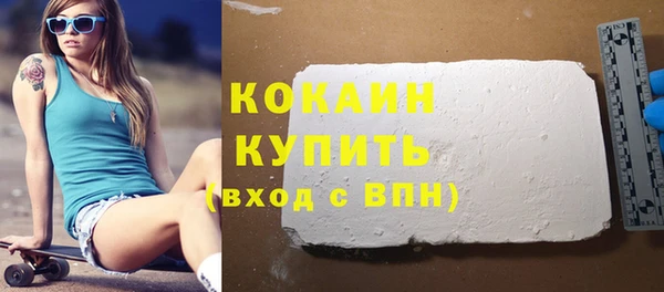МДПВ Бородино