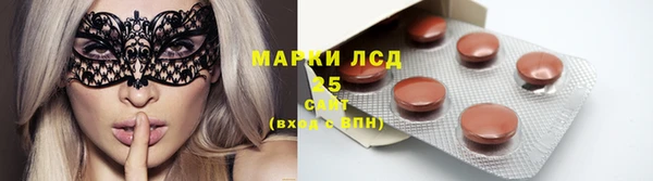 МДПВ Бородино