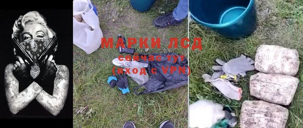 МДПВ Бородино