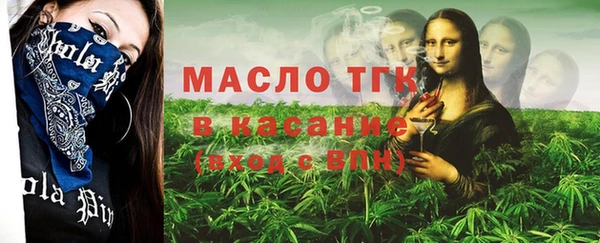МДПВ Бородино