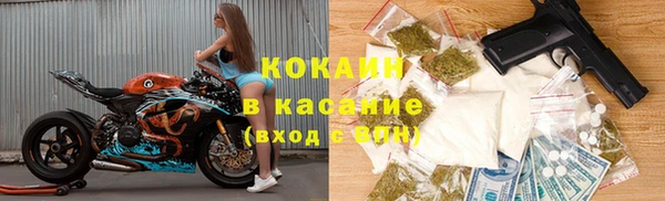 МДПВ Бородино