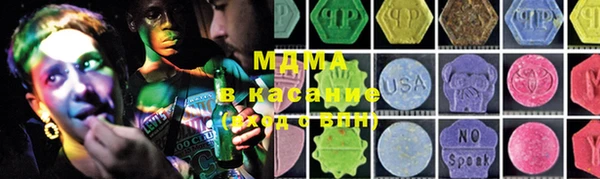 МДПВ Бородино