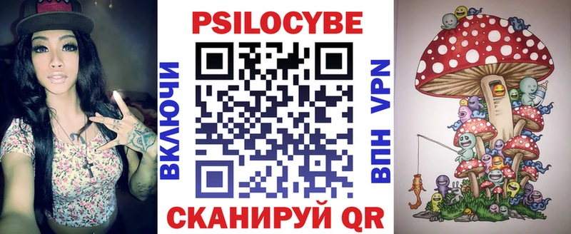 Псилоцибиновые грибы Psilocybine cubensis мега рабочий сайт Новосиль цена
